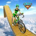 BMX自行车特技