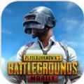 正版绝地求生pubg mobile(国际服)免费手机版