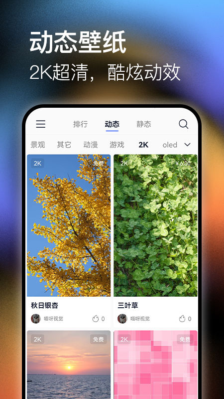 极壁纸软件最新版截图