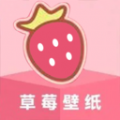 草莓壁纸大全app