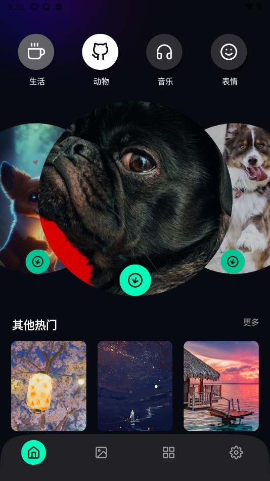 拣爱壁纸app