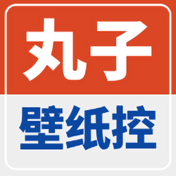 丸子壁纸控app最新版.html